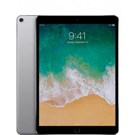 Apple iPad Pro 256 GB Space Gray